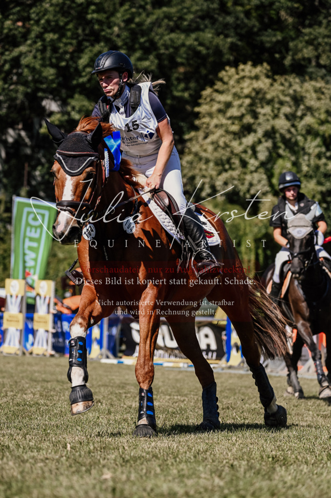 DSC_2604 | Pferde- und Turnierfotografie in Westsachsen. Pferdeportraits, Auftragszeichnungen und intuitive Kunst.