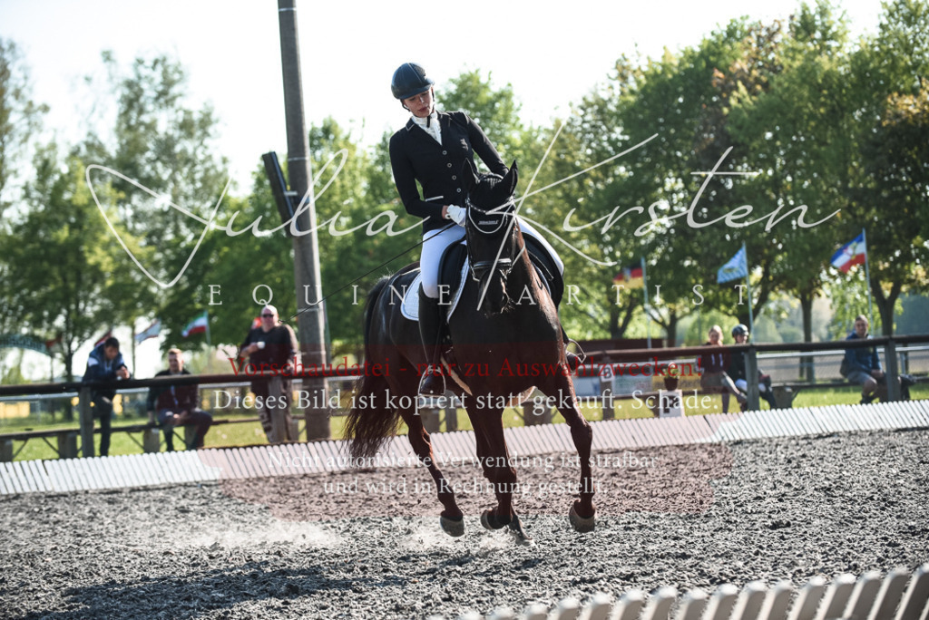 DSC_8389 | Pferde- und Turnierfotografie in Westsachsen. Pferdeportraits, Auftragszeichnungen und intuitive Kunst.