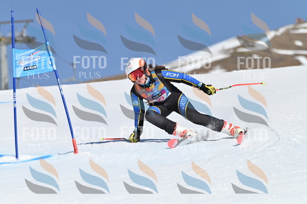 BGV_8002 | holidayphoto