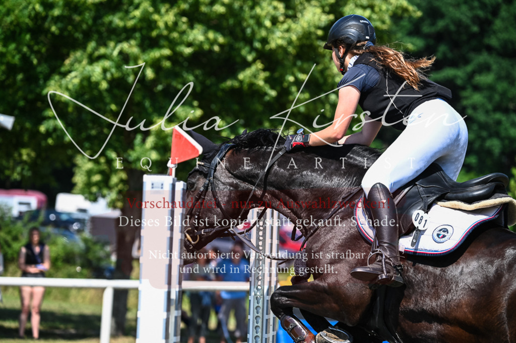 DSC_1345 | Pferde- und Turnierfotografie in Westsachsen. Pferdeportraits, Auftragszeichnungen und intuitive Kunst.