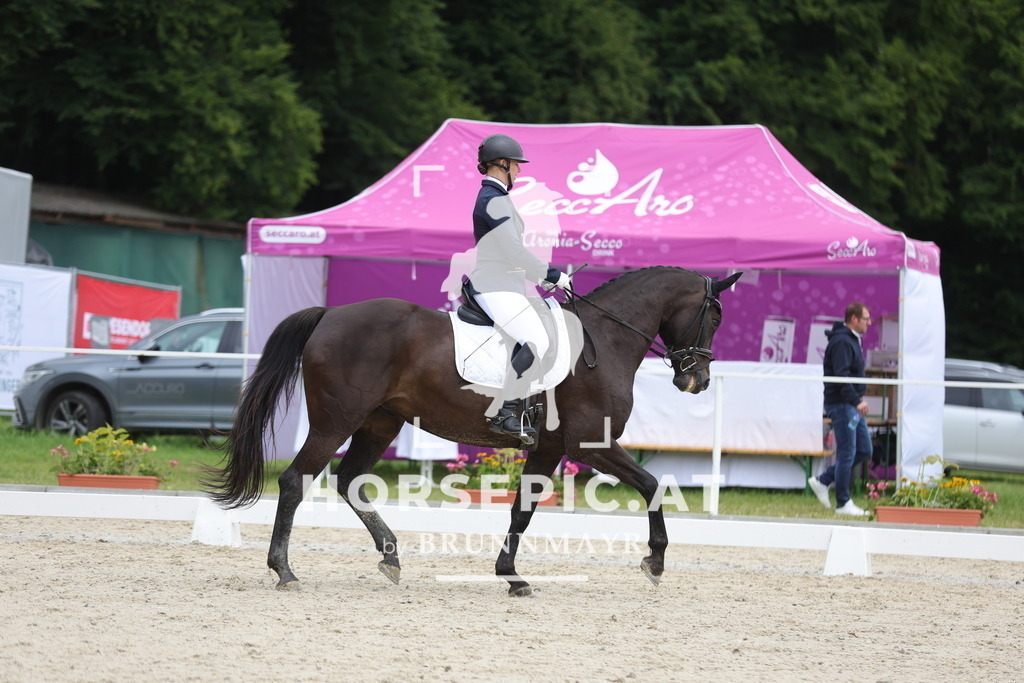0P6A5188 | Willkommen bei Brunnmayr - Design & Fotografie – Ihrem Spezialisten für Reitturniere und Pferdeveranstaltungen in Oberösterreich, Salzburg und Bayern! Seit über 17 Jahren sind wir leidenschaftlich dabei.