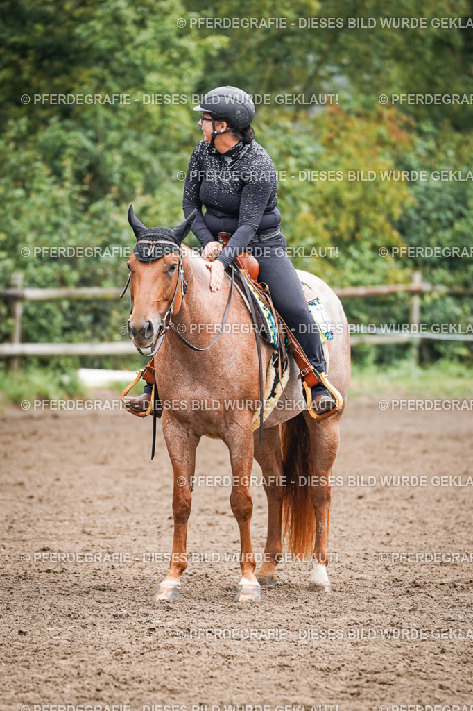 DSC01808 | Pferdegrafie