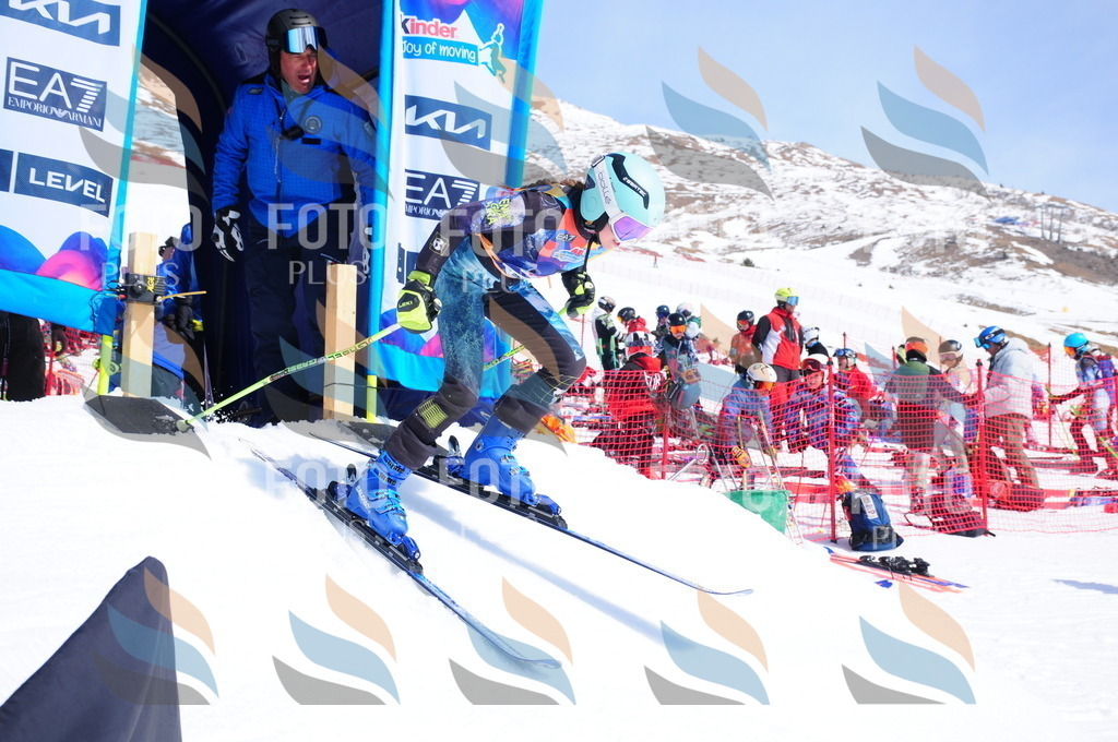 DSC_5251 | holidayphoto