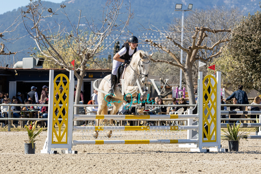 IMG_0068 | s-jay-photography - Realisiert mit Pictrs.com