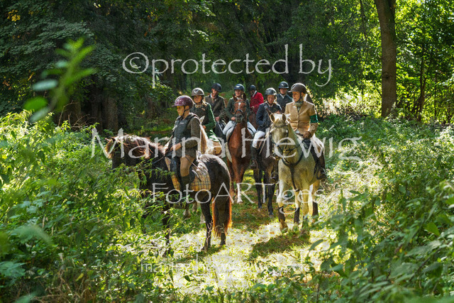 Jagd Perdoel_MarinaHewigMCH05083 | Fotografie, FotoArt, PferdesportArt, Pferdesportfotografie, Landschaftsfotografie, Reisefotografie, Reise, Pferde - Realisiert mit Pictrs.com