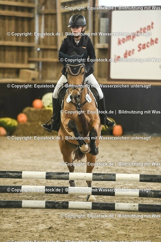 20231029_07_Stilspring-WB-50cm_0070 | Foto: Thomas Hartig