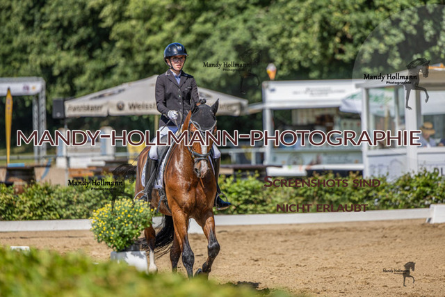 15.8.25 D1  DRE L (147 von 405) | mandyhollmannphotographie
