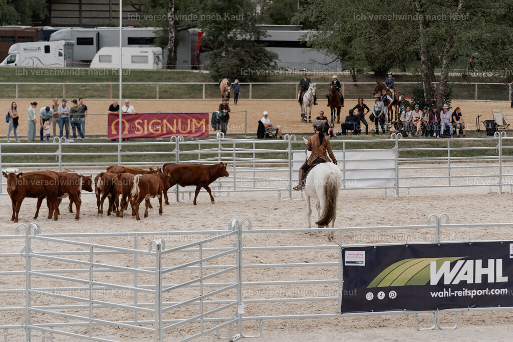 WE__Stoib_Rinder_PI2025_3126 | Pferd International München 2025