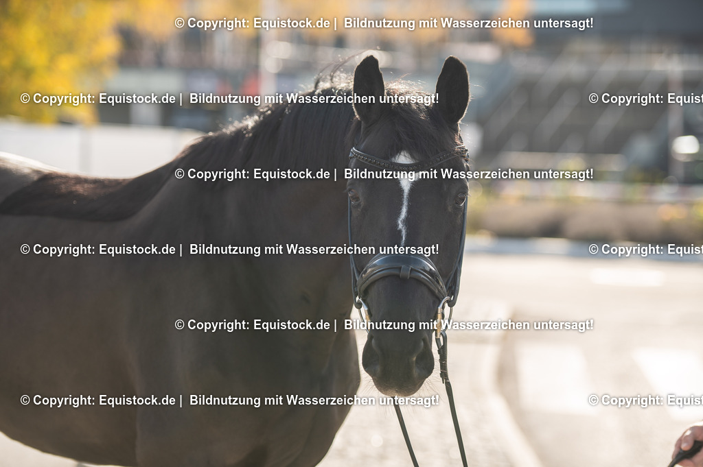 20251113_Lisa-Müller_TOMSPIC_0039 | Foto: Thomas Hartig