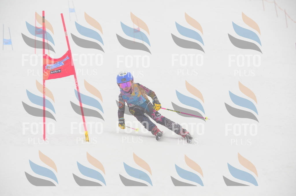 C1245 | holidayphoto