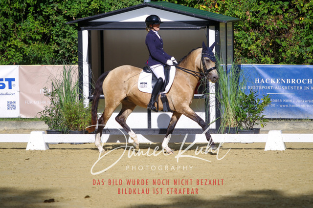 DKP40866 | Turniersportfotografie; Pferdefotografie; Dressurfotografie