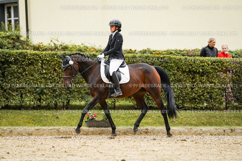 DSC07077 | Pferdegrafie