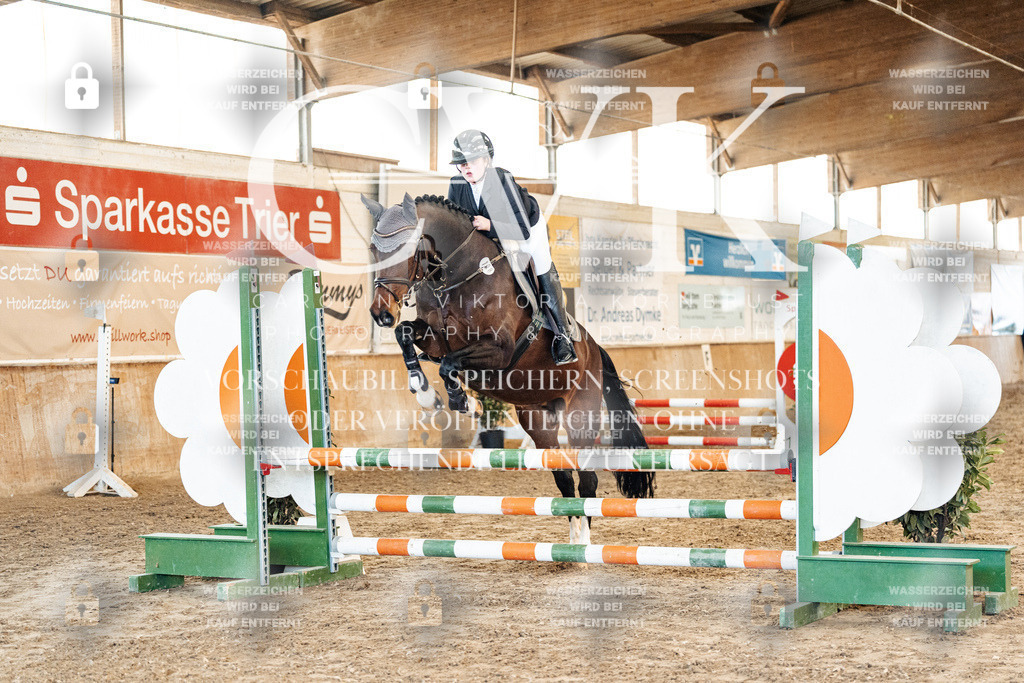 CK904027 | Turnierfotografie Pferdefotografie Trier Rheinland-Pfalz Pferdesport Reitsport Tierfotografie Sportfotografie Pferdevideo Pferdevideografie Equestrianvideography equestrianphotography  - Realized with Pictrs.com