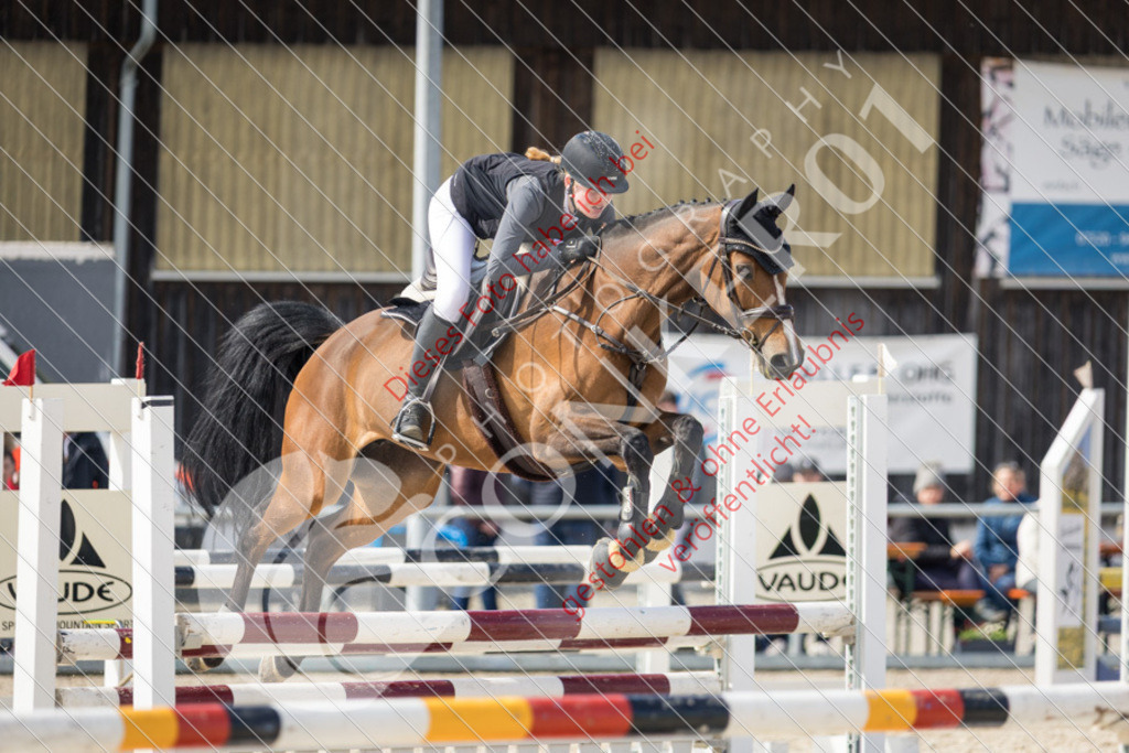 IMG_4100 | Sport-, Event- und Tierfotos in Profiqualität. Einfach auswählen, bestellen und herunterladen. Dein Moment – perfekt festgehalten.