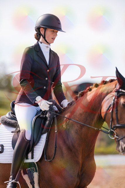 2026_10_03_Siefer-Hof_133128_Z81_85660707 | Professionelle Reitsport-, Turnier- und Eventfotografie von Robert Broda. Galerien mit ausgewählten und bearbeiteten Bildern direkt online ansehen und bestellen.