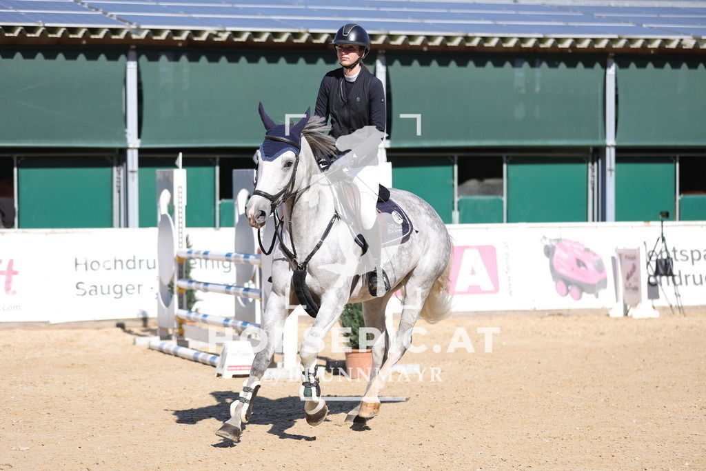 0P6A0226 | Willkommen bei Brunnmayr - Design & Fotografie – Ihrem Spezialisten für Reitturniere und Pferdeveranstaltungen in Oberösterreich, Salzburg und Bayern! Seit über 17 Jahren sind wir leidenschaftlich dabei.