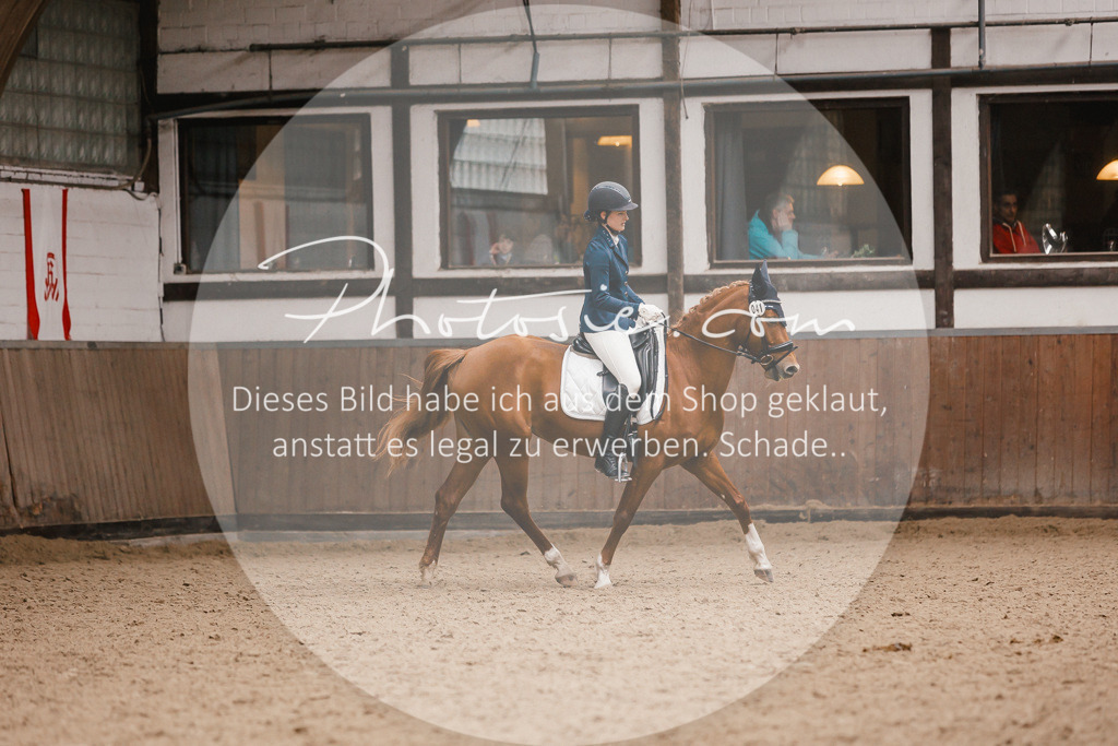 3I6A7811 | Stimmungsvolle Portraits und Reitsportfotografie im Ruhrgebiet und im Münsterland.

Pferdefotografie, Hundefotografie, Tierfotografie, Reportagen, Portraits von Tier und Mensch, Turnierfotografie in Bochum, Recklinghausen, Marl, Haltern am See, Dülmen.. - Realisiert mit Pictrs.com