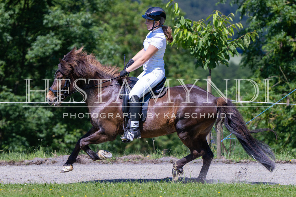 KAI09722 | Ihr sucht einen Fotografen für eure nächste OSI? Ich begleite auch euer Turnier für Islandpferde fotografisch.  - Realisiert mit Pictrs.com