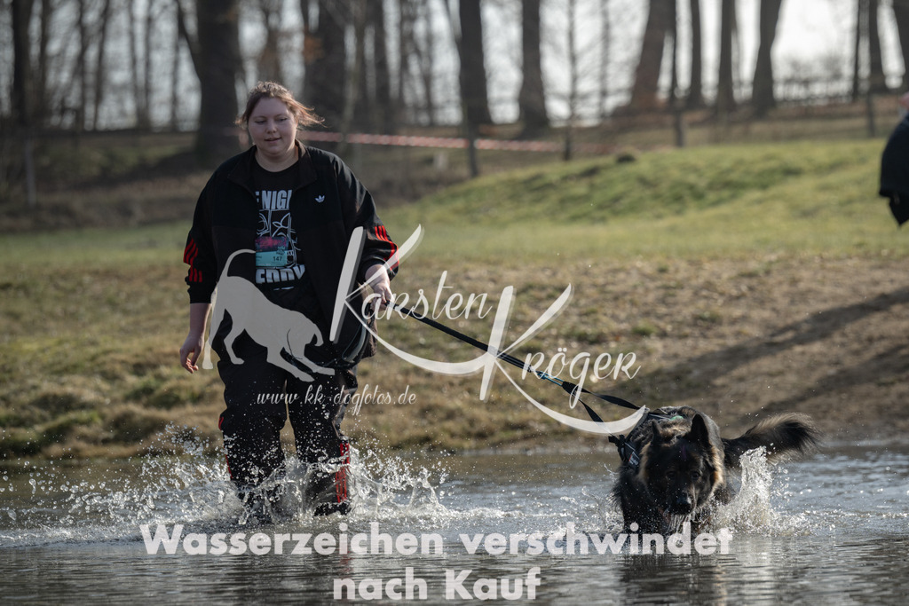 1139_ZZ95439-3 | kk-dogfotos