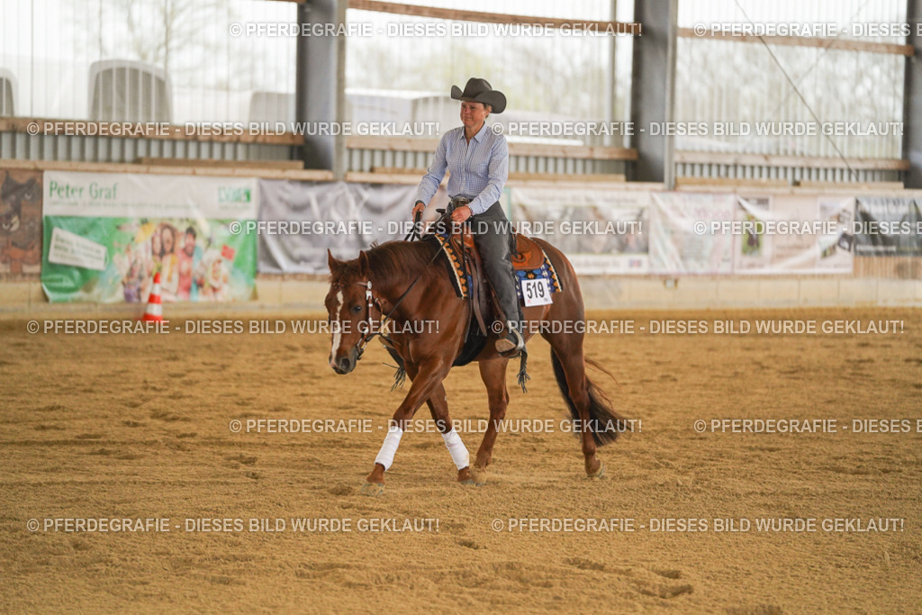 DSC09952 | Pferdegrafie