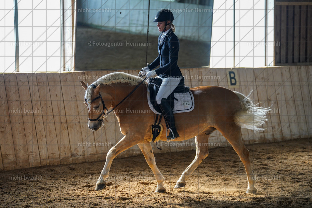 20230520-FAH05782 | Frühjahrsturnier, Landsberg am Lech, 2023, Reitclub Landsberg, Turnierbilder, Fotos Turnier Landsberg, Fotoagentur Herrmann, Turnierfotografen Bayern, Reitsport Fotograf, Pferde Fotograf
