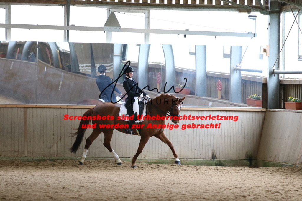 IMG_1263 | lmwpictures - Realisiert mit Pictrs.com