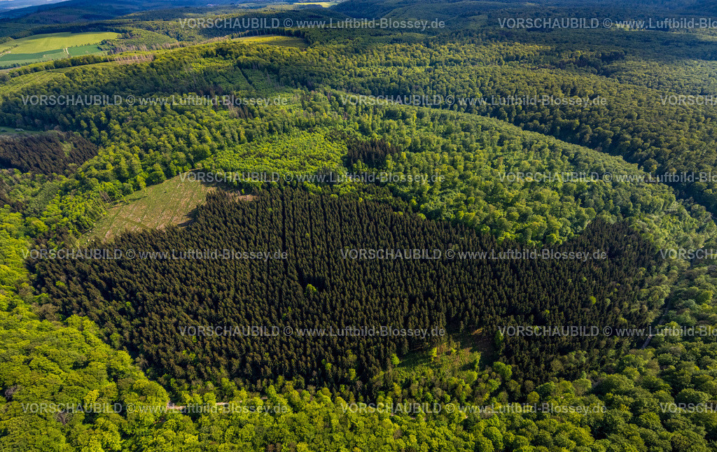 Horn-BadMeinberg240506086NSG-Bielsteinhoehle | Luftbild, NSG Naturschutzgebiet BielsteinhöhleMischwald Waldgebiet, Teutoburger Wald, Veldrom, Horn-Bad Meinberg, Ostwestfalen, Nordrhein-Westfalen, Deutschland