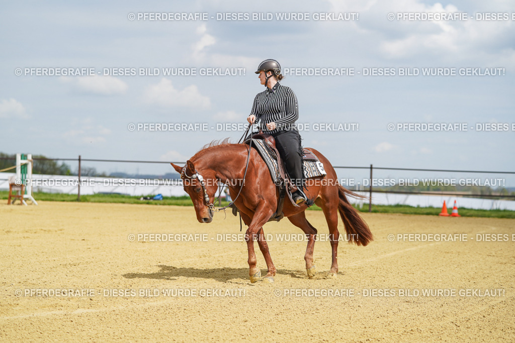 DSC05557 | Pferdegrafie