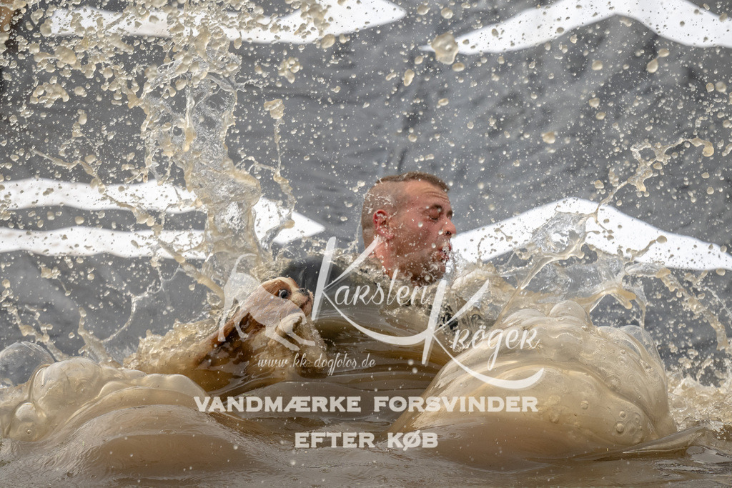 1603_ZZ92139 | kk-dogfotos