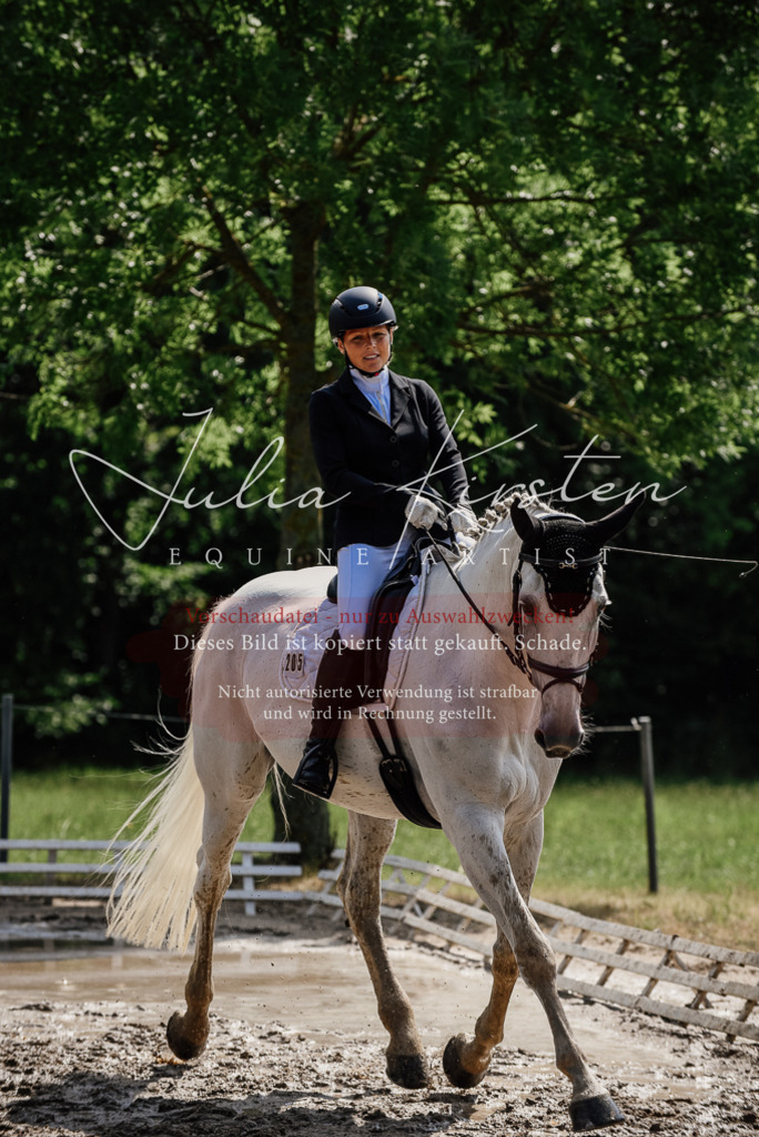 DSC_0353 | Pferde- und Turnierfotografie in Westsachsen. Pferdeportraits, Auftragszeichnungen und intuitive Kunst.