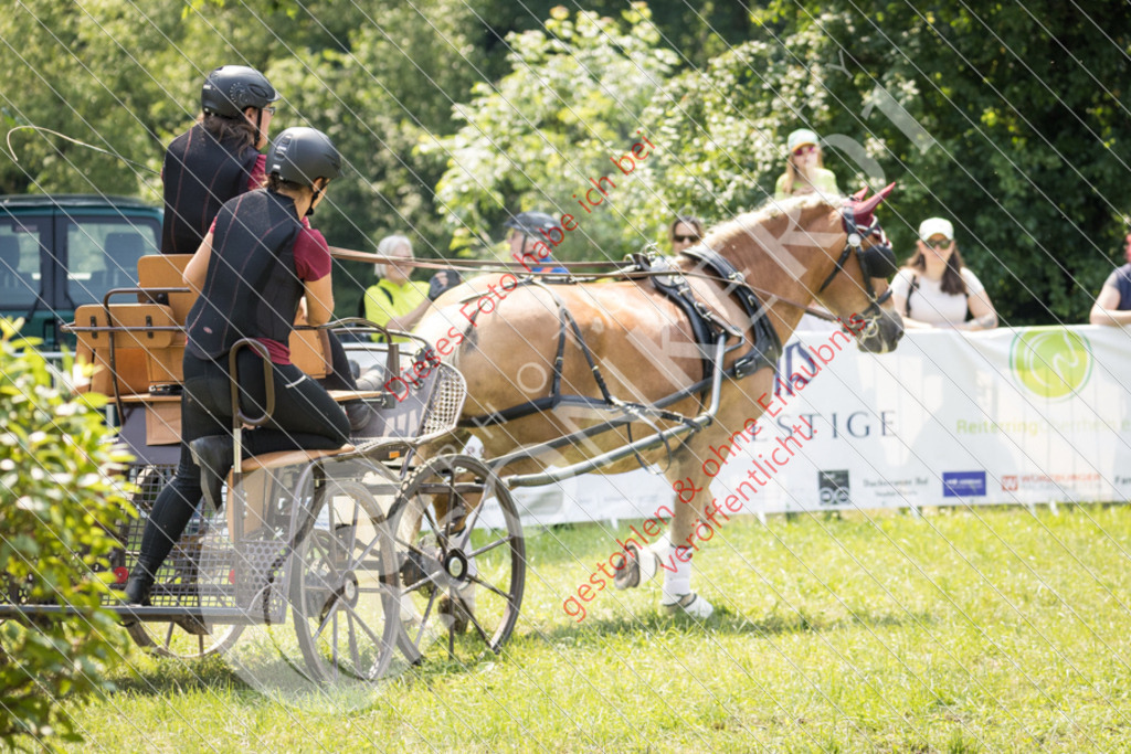 IMG_8052 | Sport-, Event- und Tierfotos in Profiqualität. Einfach auswählen, bestellen und herunterladen. Dein Moment – perfekt festgehalten.