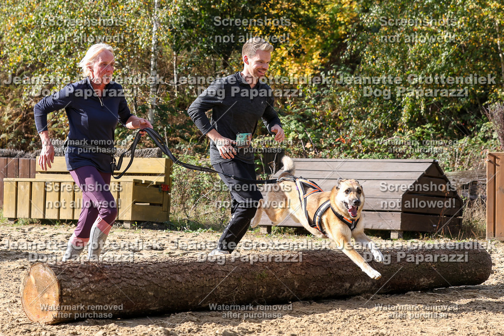 Dog Paparazzi - Strongdog 10-25-5751 | Dog Paparazzi Jeanette Grottendiek Fotografie & Videografie - Realisiert mit Pictrs.com