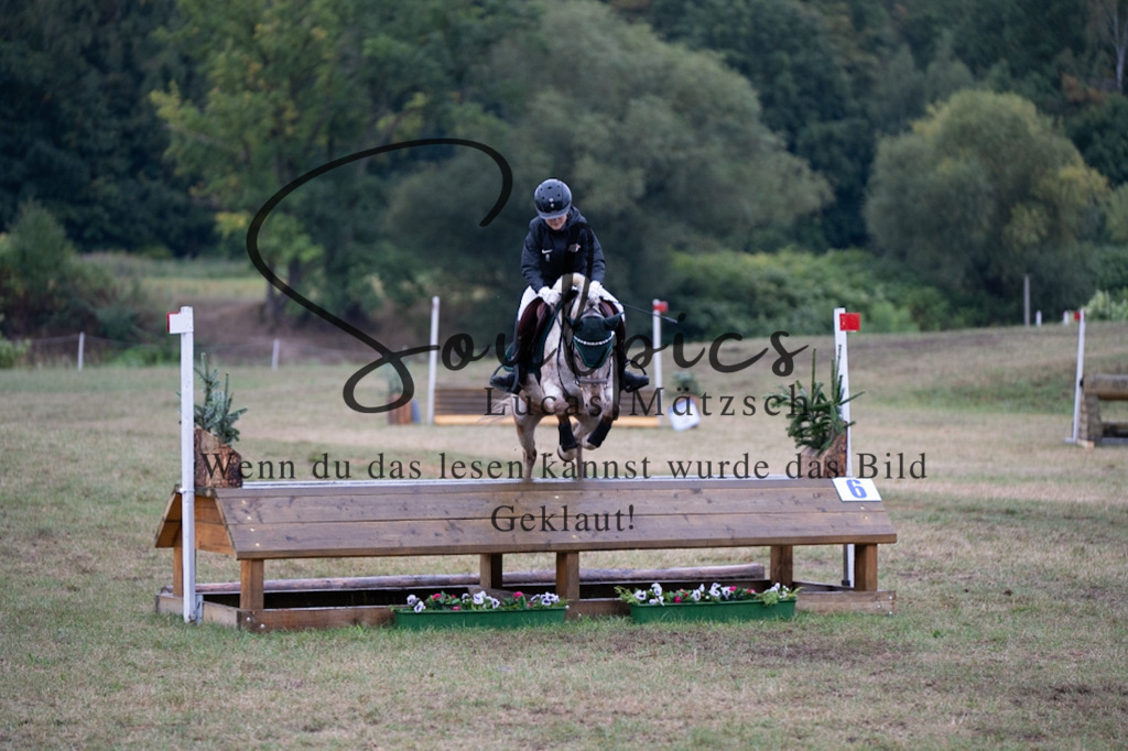 A7V00044 | Pferdefotograf