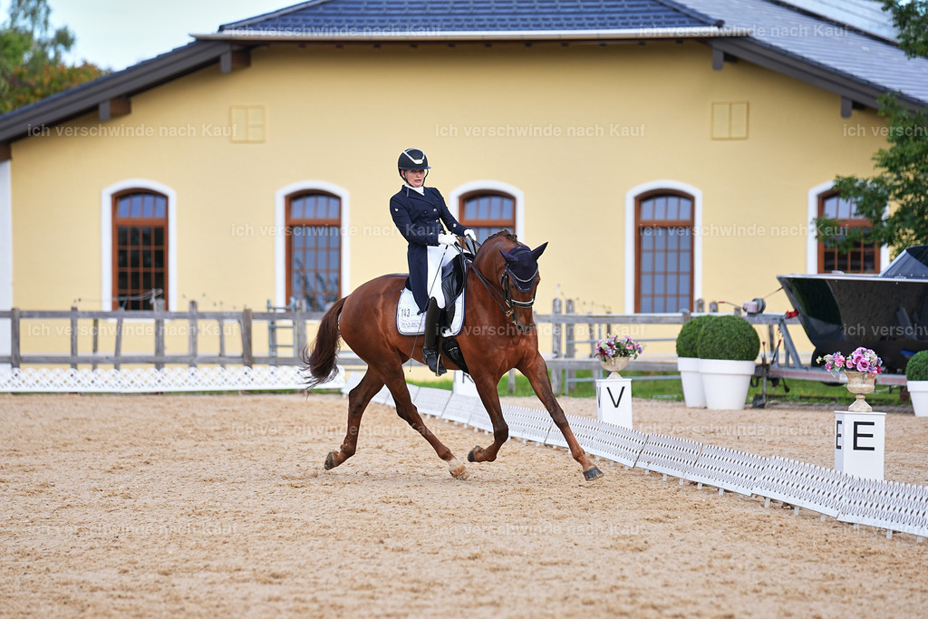 6-143-AMATUER-DRESSUR S_  -Marixx-3692 | working equitationturnier fotograf videograf stoibphotography marixx film working equitation deutschland reitsport turnierfotografie eventfotografie equestrian events