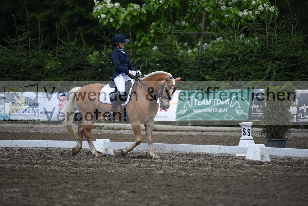 DSC_1255 | equestrian-live-com