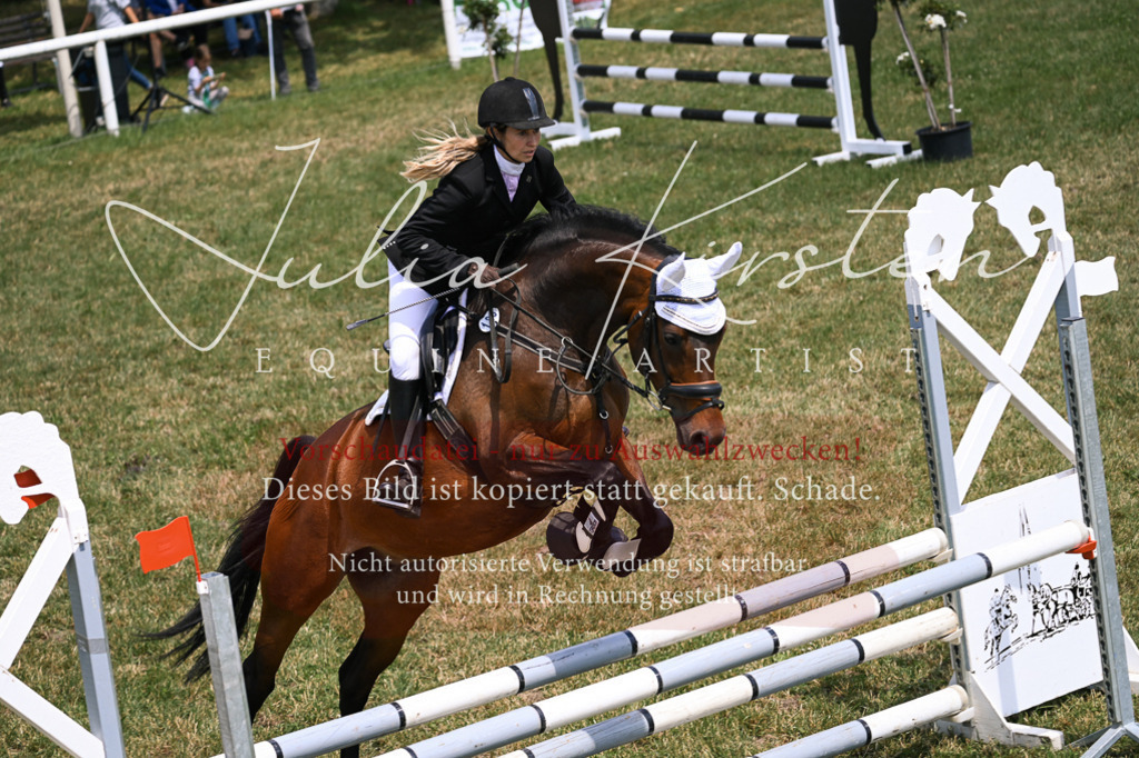 DSC_9882 | Pferde- und Turnierfotografie in Westsachsen. Pferdeportraits, Auftragszeichnungen und intuitive Kunst.