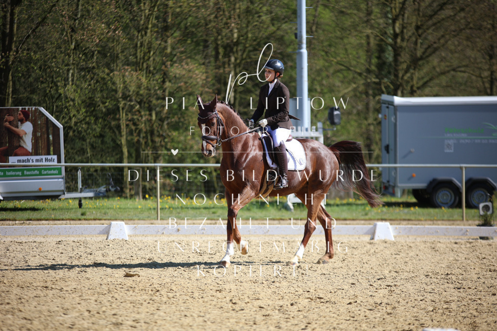 IMGT8611 | pl-fotografie