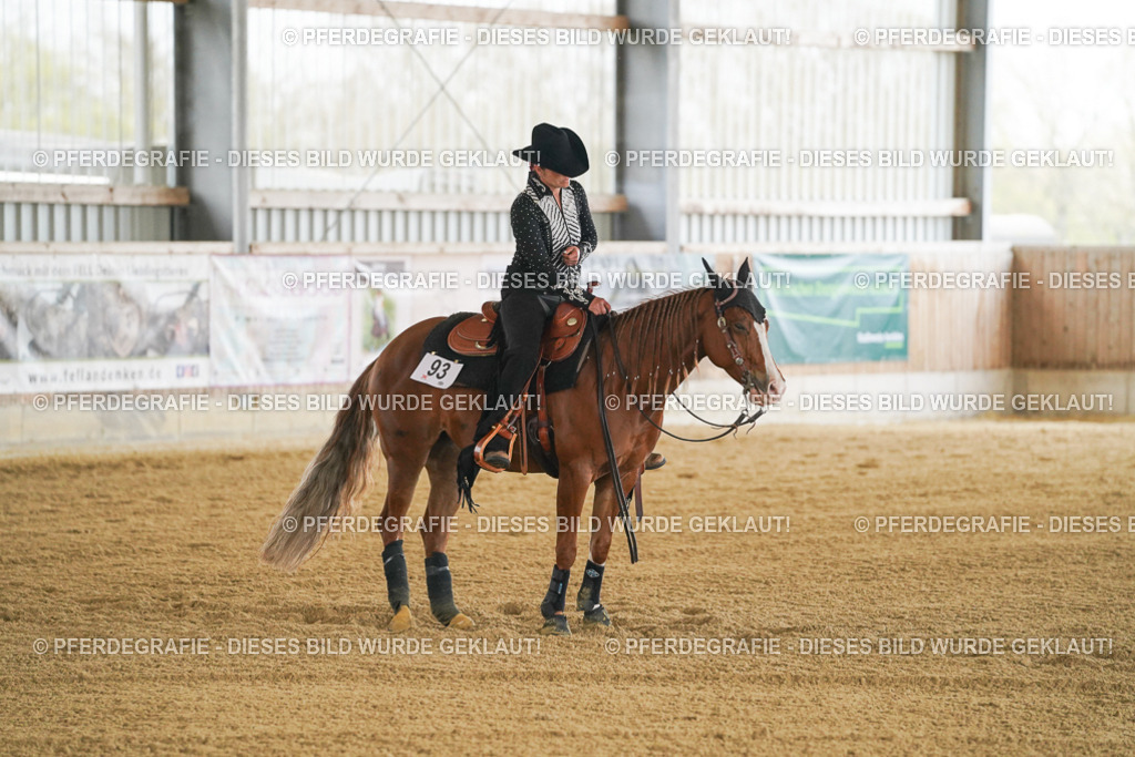 DSC07178 | Pferdegrafie