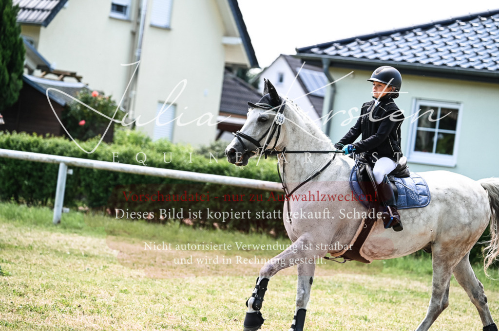 DSC_9813 | Pferde- und Turnierfotografie in Westsachsen. Pferdeportraits, Auftragszeichnungen und intuitive Kunst.