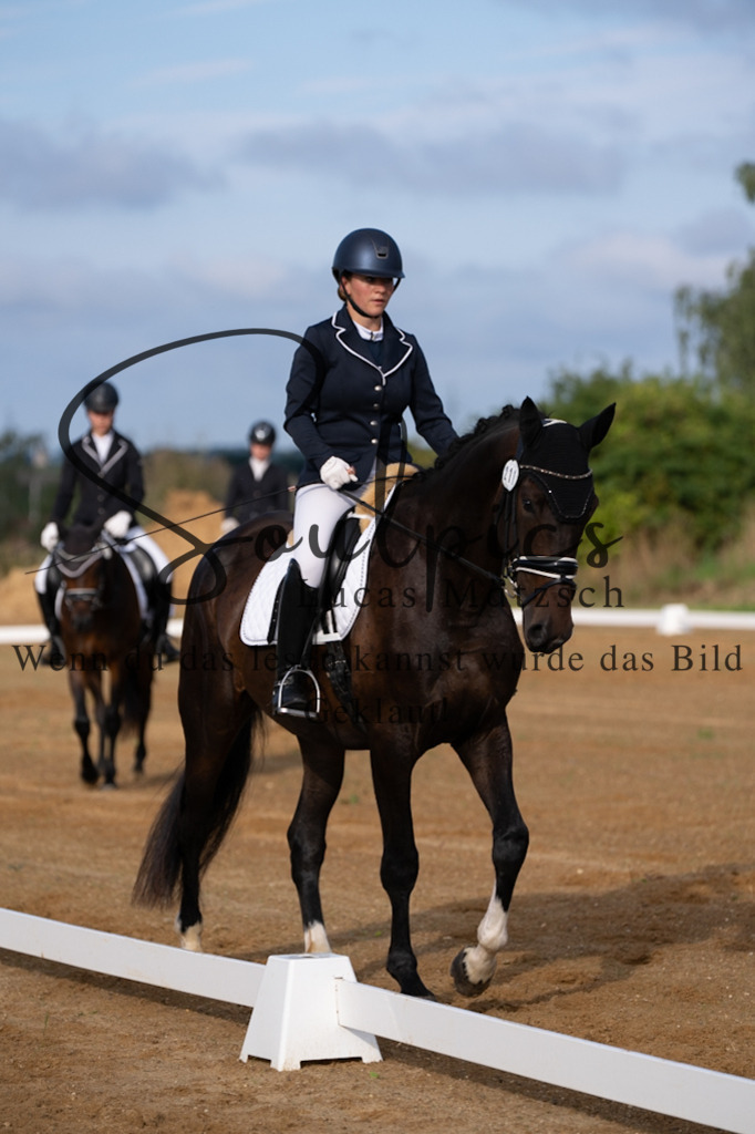 A7V03688 | Turnier/Reitfotograf
