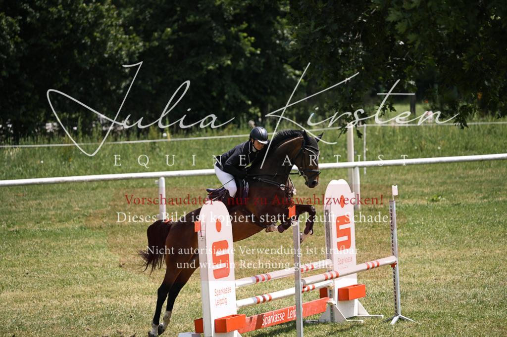 DSC_9828 | Pferde- und Turnierfotografie in Westsachsen. Pferdeportraits, Auftragszeichnungen und intuitive Kunst.