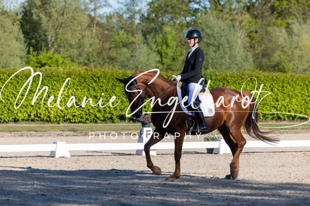 7I8A8327 | melanie-engelhardt-photography - Realisiert mit Pictrs.com