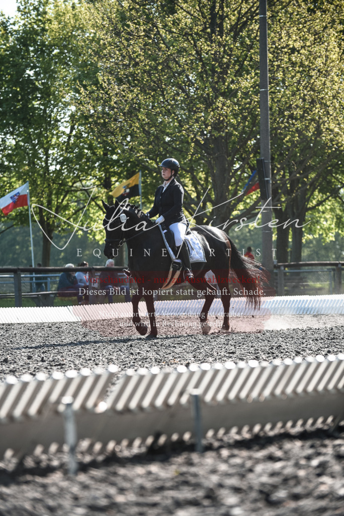 DSC_8599 | Pferde- und Turnierfotografie in Westsachsen. Pferdeportraits, Auftragszeichnungen und intuitive Kunst.