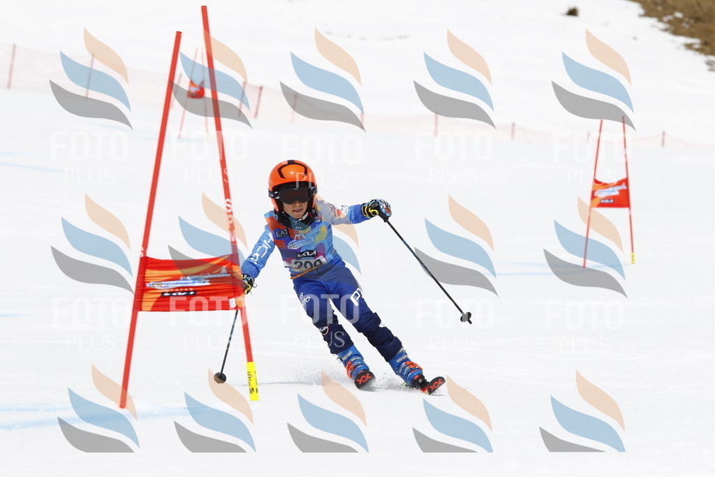 _U3G7687 | holidayphoto