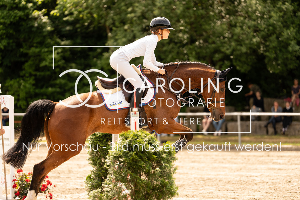 DSC02450 | Carolin Gieschke