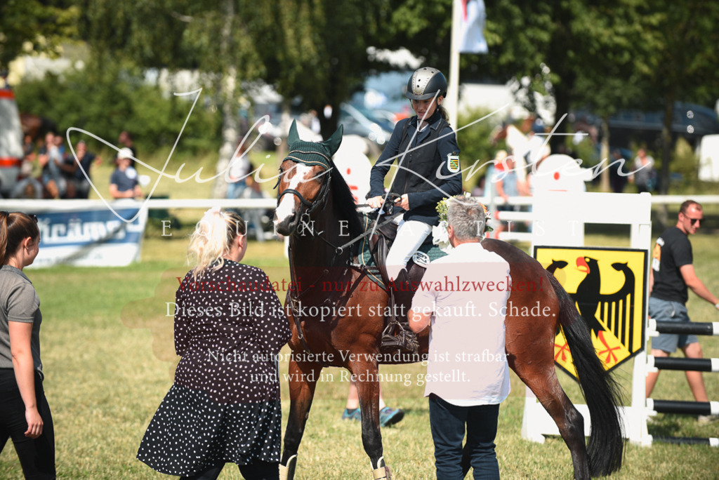 DSC_2609 | Pferde- und Turnierfotografie in Westsachsen. Pferdeportraits, Auftragszeichnungen und intuitive Kunst.