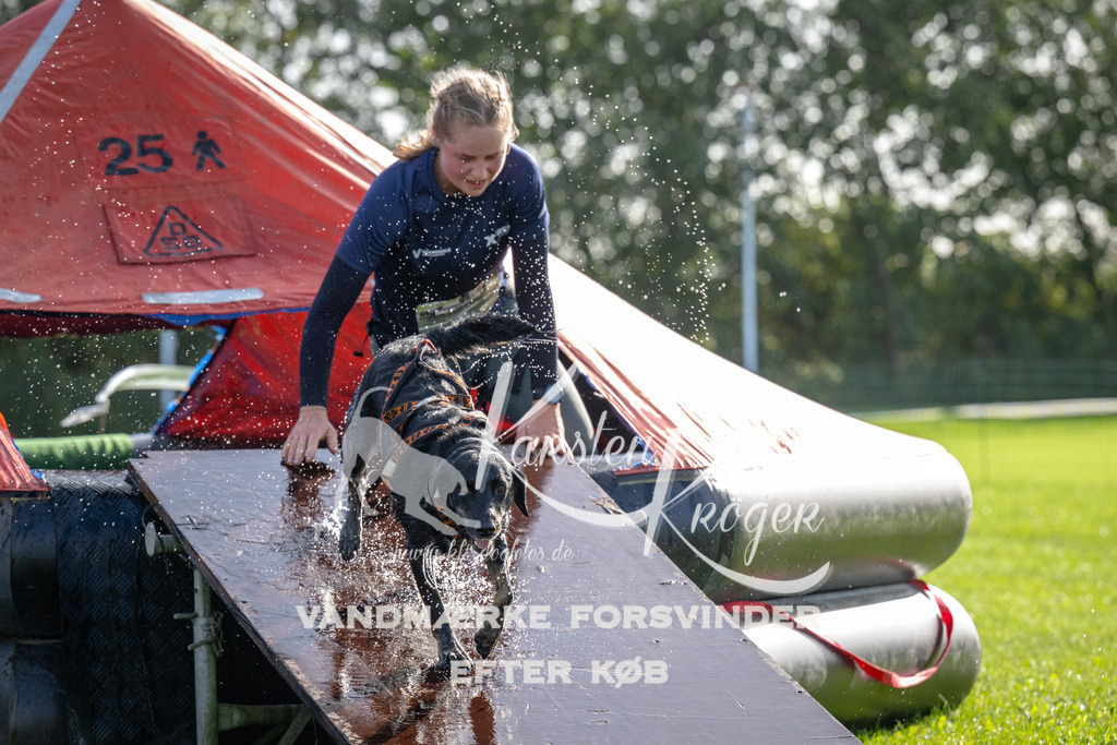 1149-92302 | kk-dogfotos