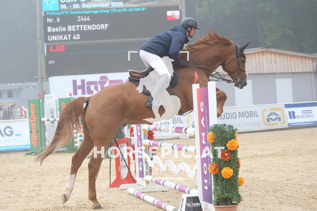 DL2Q3181 | Willkommen bei Brunnmayr - Design & Fotografie – Ihrem Spezialisten für Reitturniere und Pferdeveranstaltungen in Oberösterreich, Salzburg und Bayern! Seit über 17 Jahren sind wir leidenschaftlich dabei.