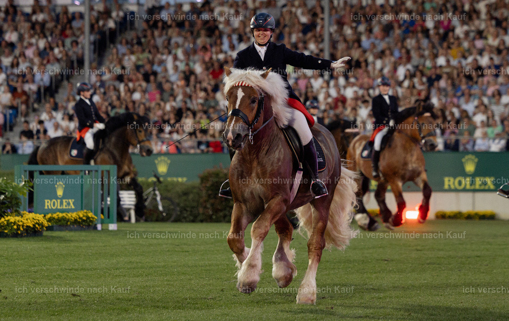 TSCHIO26_PferdundSinfonie_Stoibphotography_AM11556.jpg | working equitationturnier fotograf videograf stoibphotography marixx film working equitation deutschland reitsport turnierfotografie eventfotografie equestrian events
