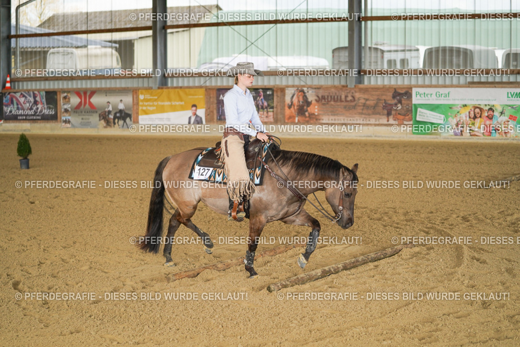 DSC02369 | Pferdegrafie